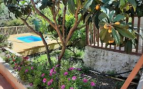 Carrubo - Giardino In Citta